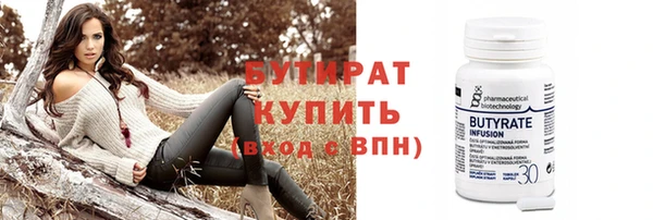 сатива Новозыбков