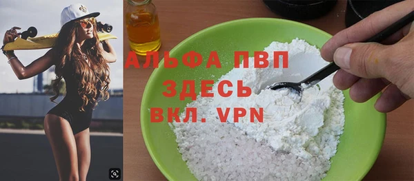 сатива Новозыбков