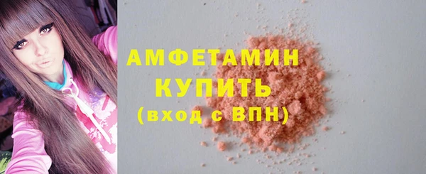 сатива Новозыбков