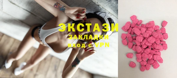 сатива Новозыбков