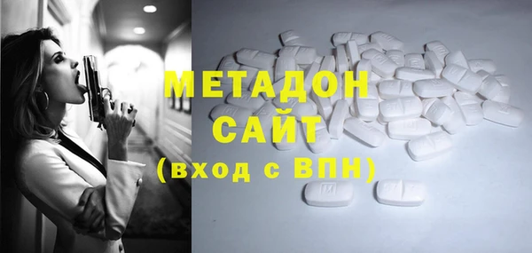 сатива Новозыбков