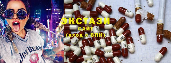 сатива Новозыбков