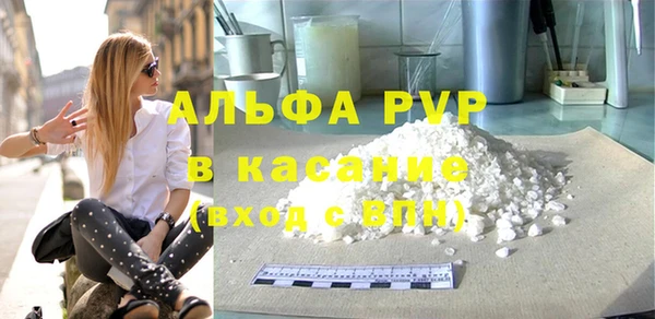 сатива Новозыбков