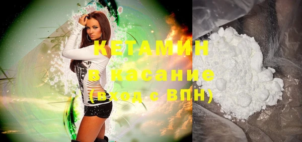 сатива Новозыбков