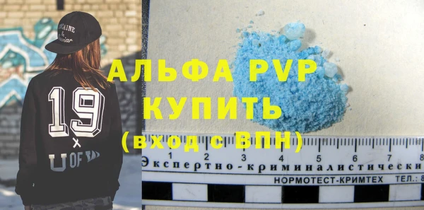 сатива Новозыбков