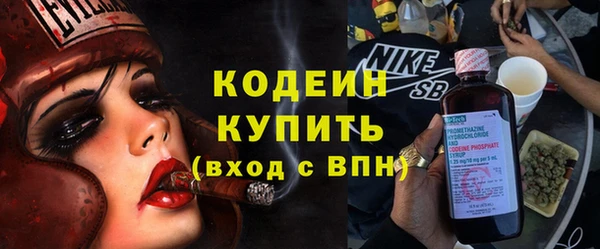 сатива Новозыбков