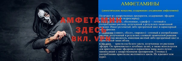 сатива Новозыбков