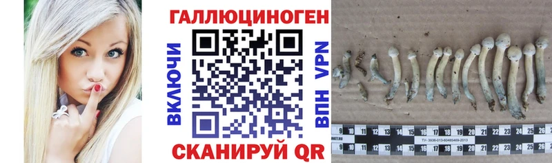 Галлюциногенные грибы ЛСД Кинешма