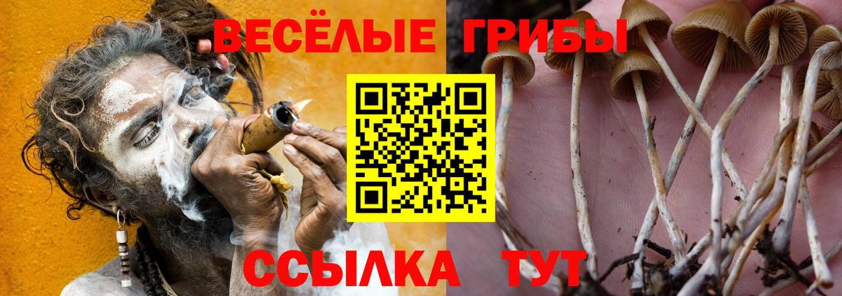 Галлюциногенные грибы прущие грибы  Вход с VPN  как найти закладки  Кинешма  Галлюциногенные грибы мухоморы 