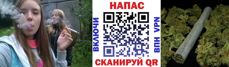 Бошки марихуана марихуана  Кинешма 